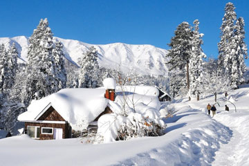 Amritsar Patnitop Pahalgam Srinagar Gulmarg Sonmarg 6 Nights 7 Days Tour